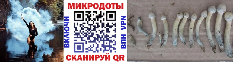 Галлюциногенные грибы ЛСД  как найти закладки  Купино 